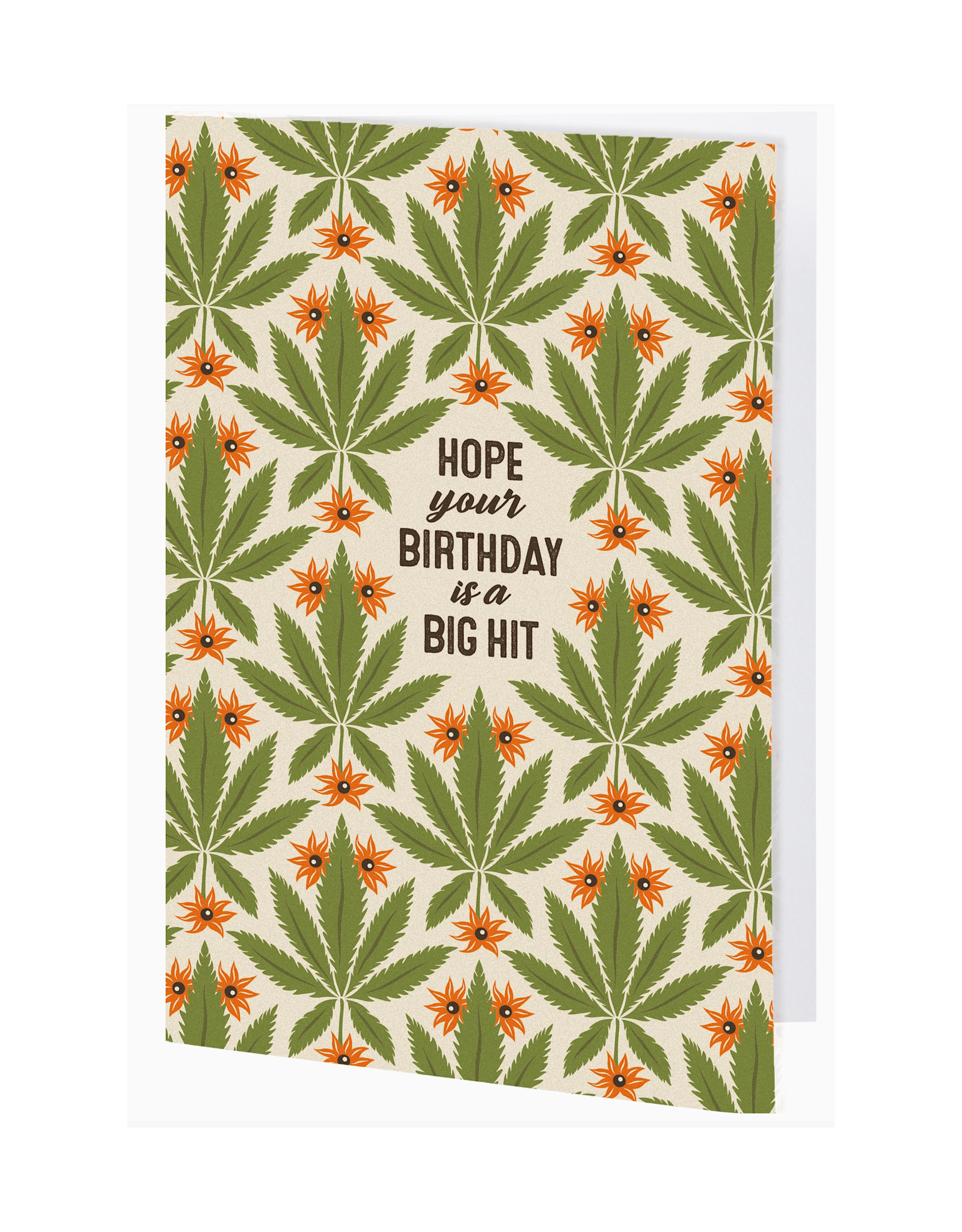 Questionables Hope Your Birthday is a Big Hit Greeting Card