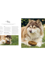 Knits for Dogs