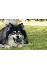 Knits for Dogs