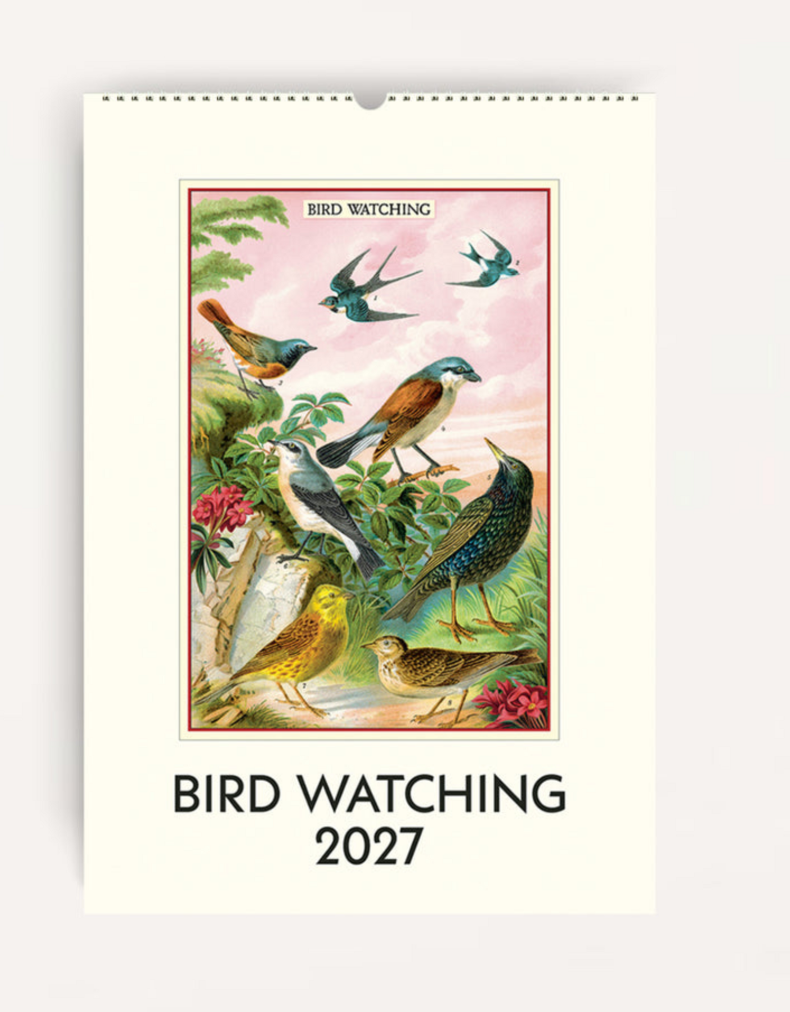 2027 Wall Calendar : Bird Watching