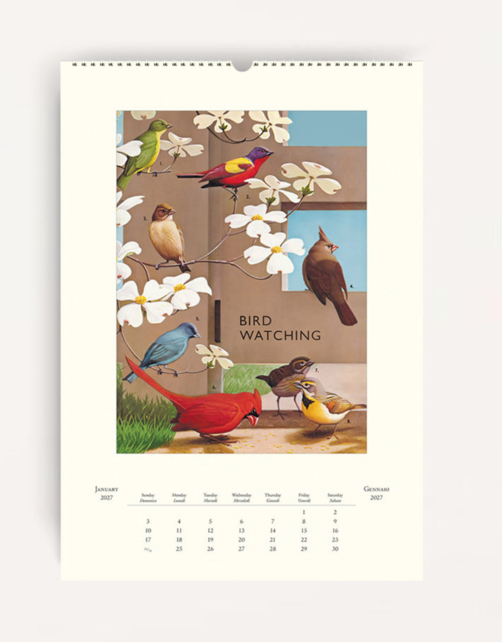2027 Wall Calendar : Bird Watching