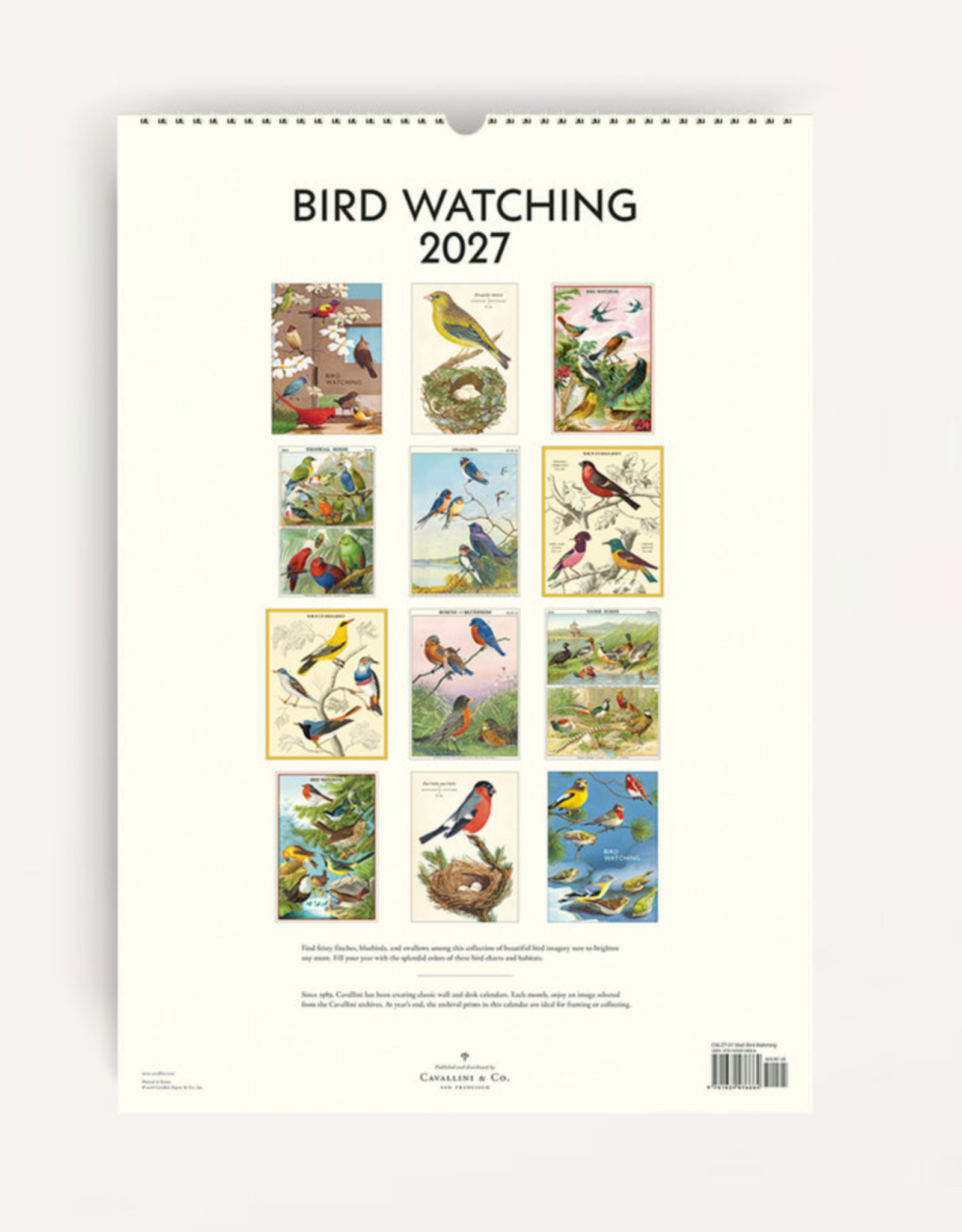 2027 Wall Calendar : Bird Watching