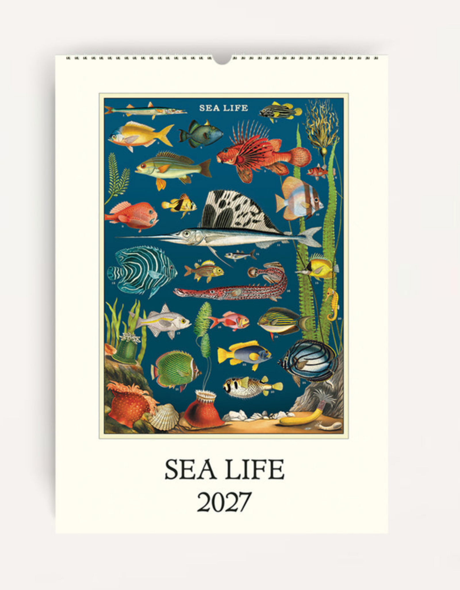 2027 Wall Calendar : Sea Life