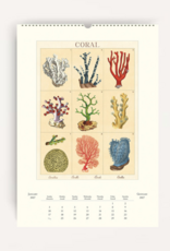 2027 Wall Calendar : Sea Life