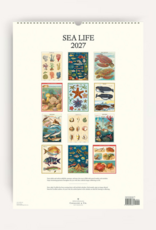 2027 Wall Calendar : Sea Life