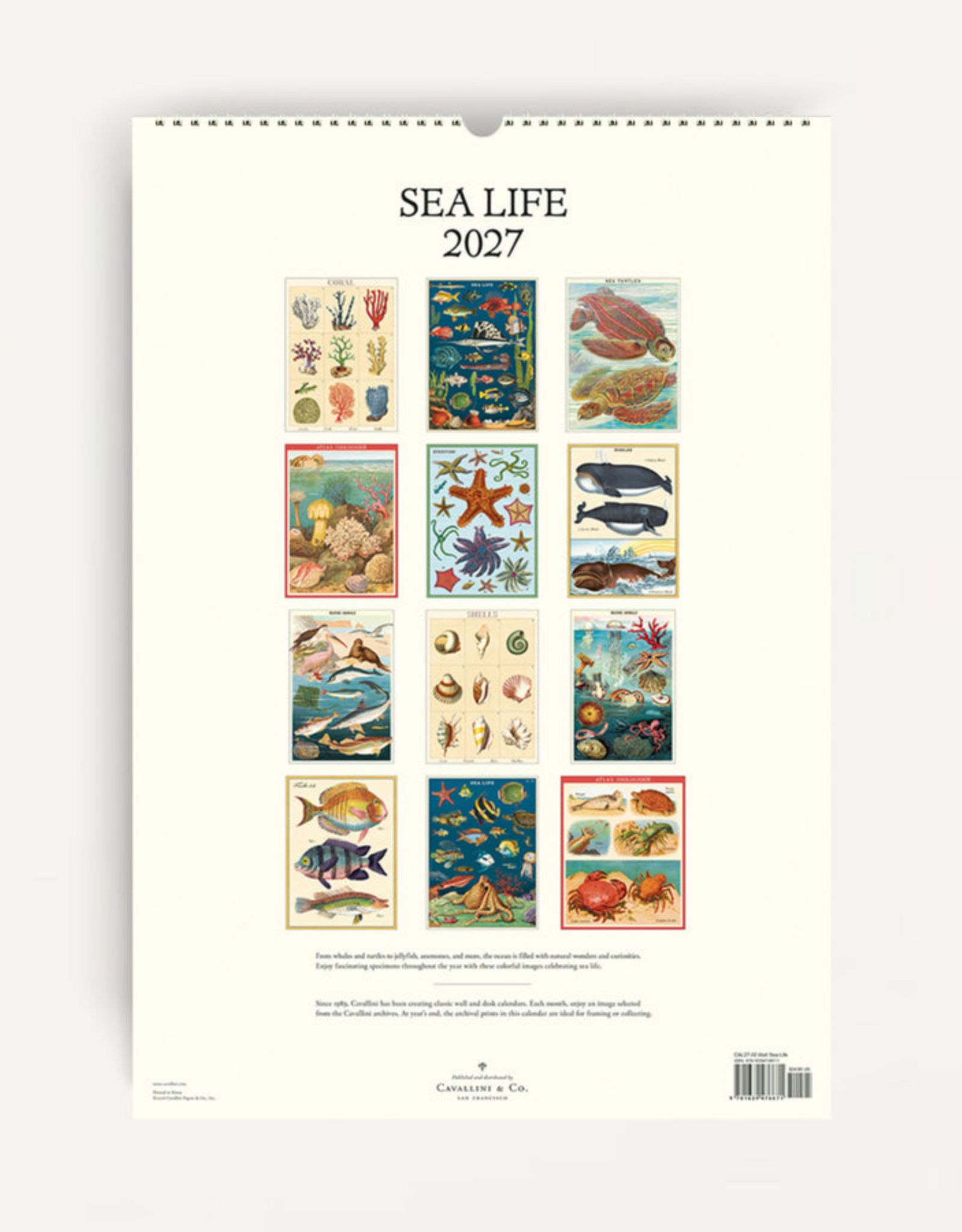 2027 Wall Calendar : Sea Life