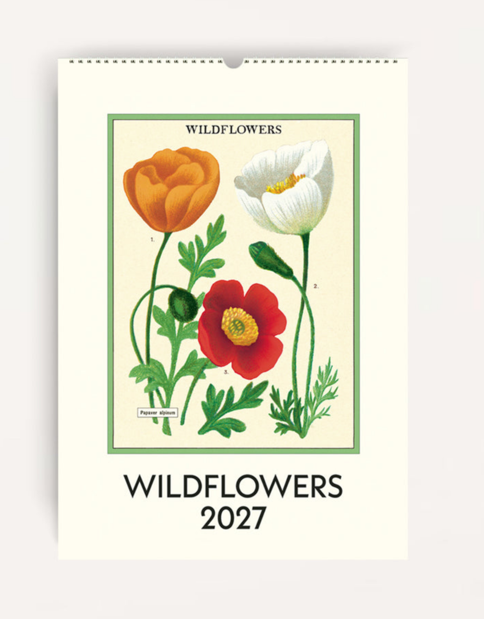 2027 Wall Calendar : Wildflowers