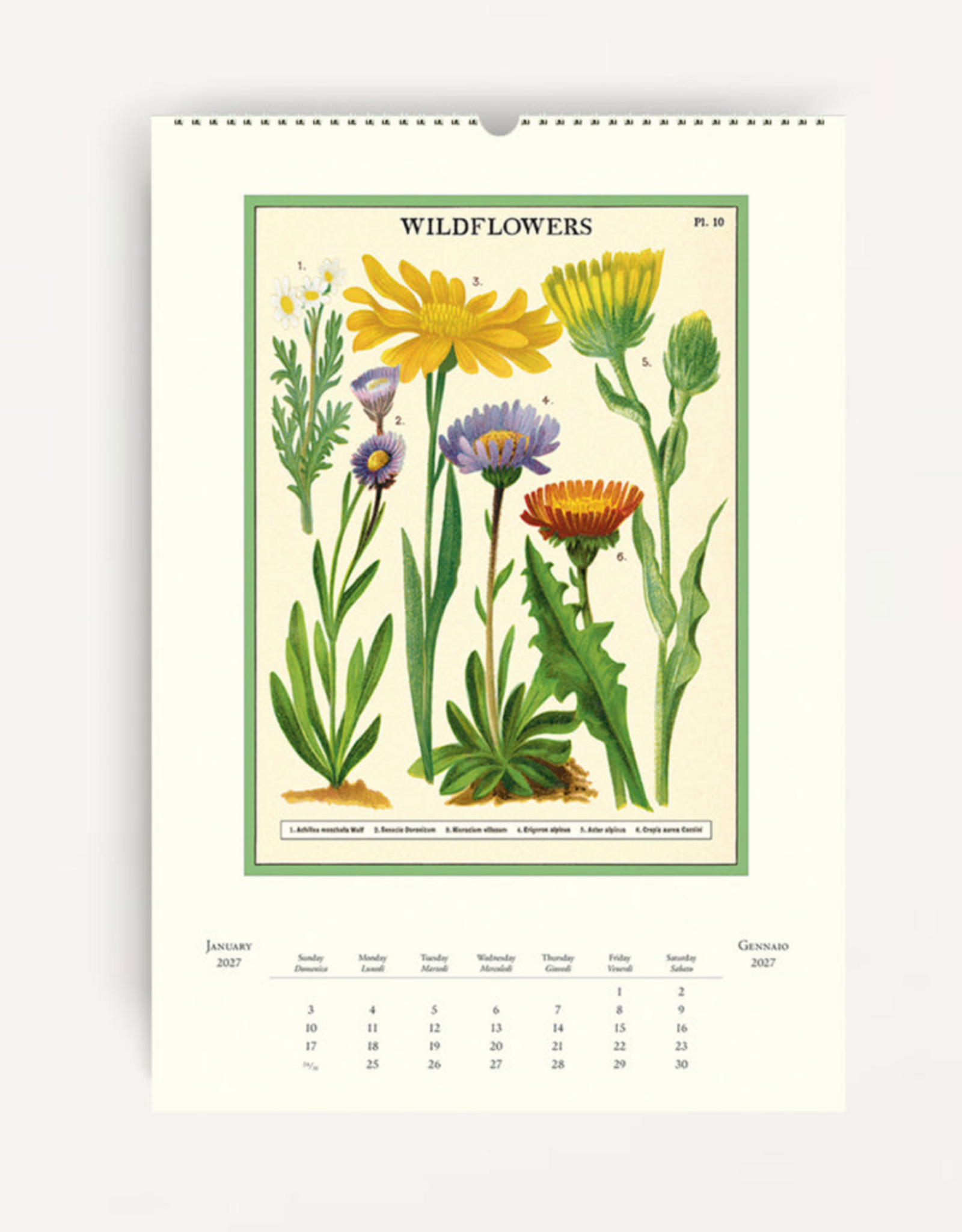 2027 Wall Calendar : Wildflowers