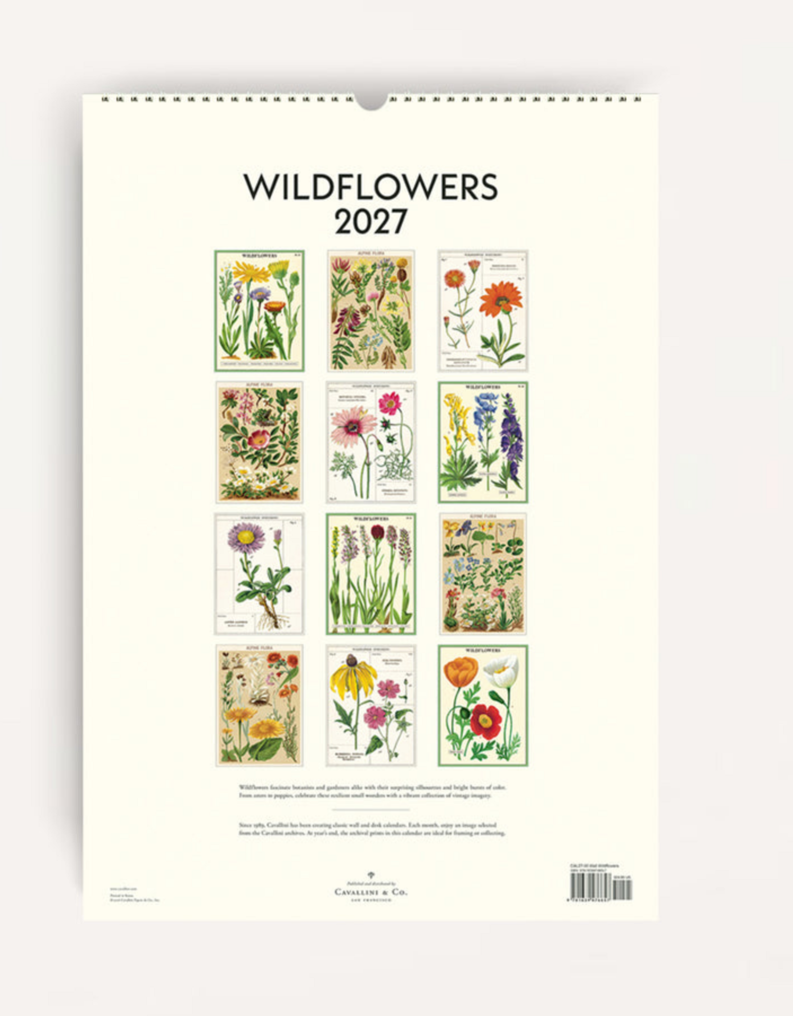 2027 Wall Calendar : Wildflowers