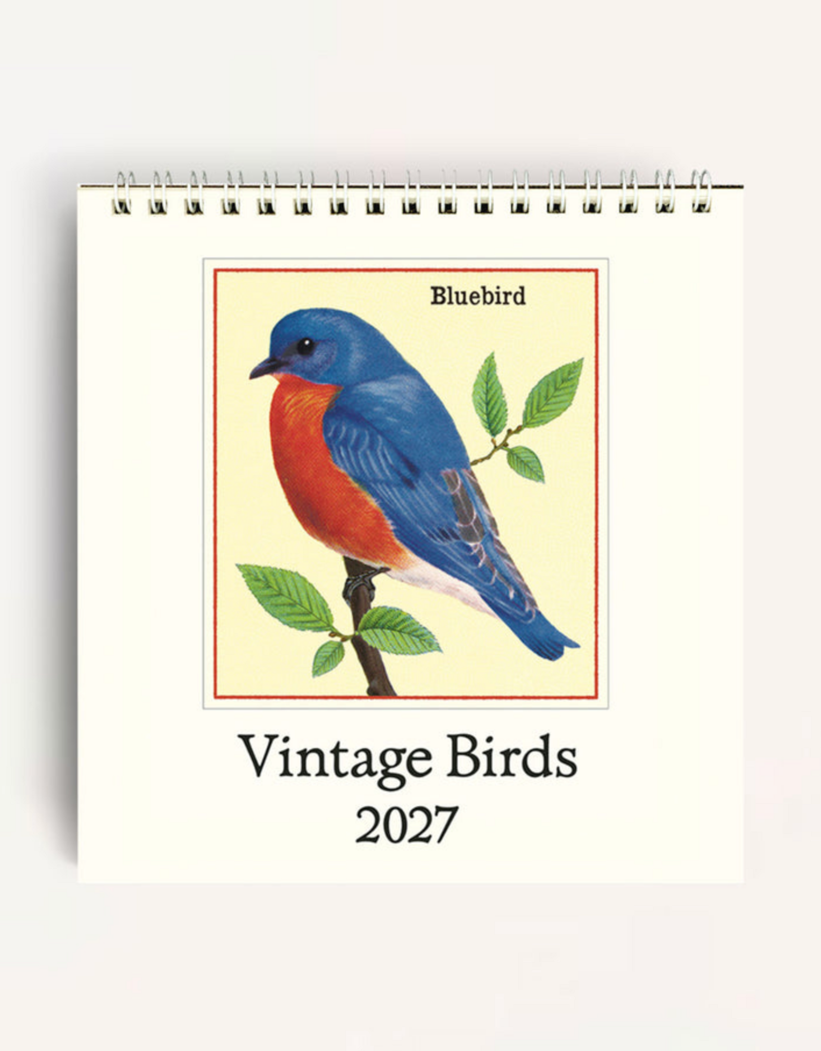 2027 Desk Calendar: Birds
