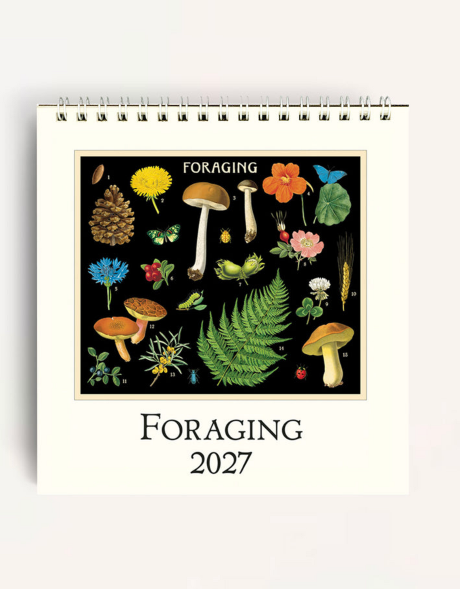 2027 Desk Calendar: Foraging