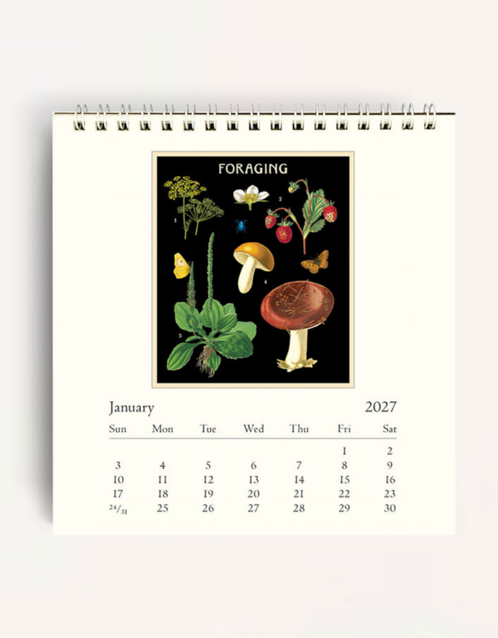 2027 Desk Calendar: Foraging