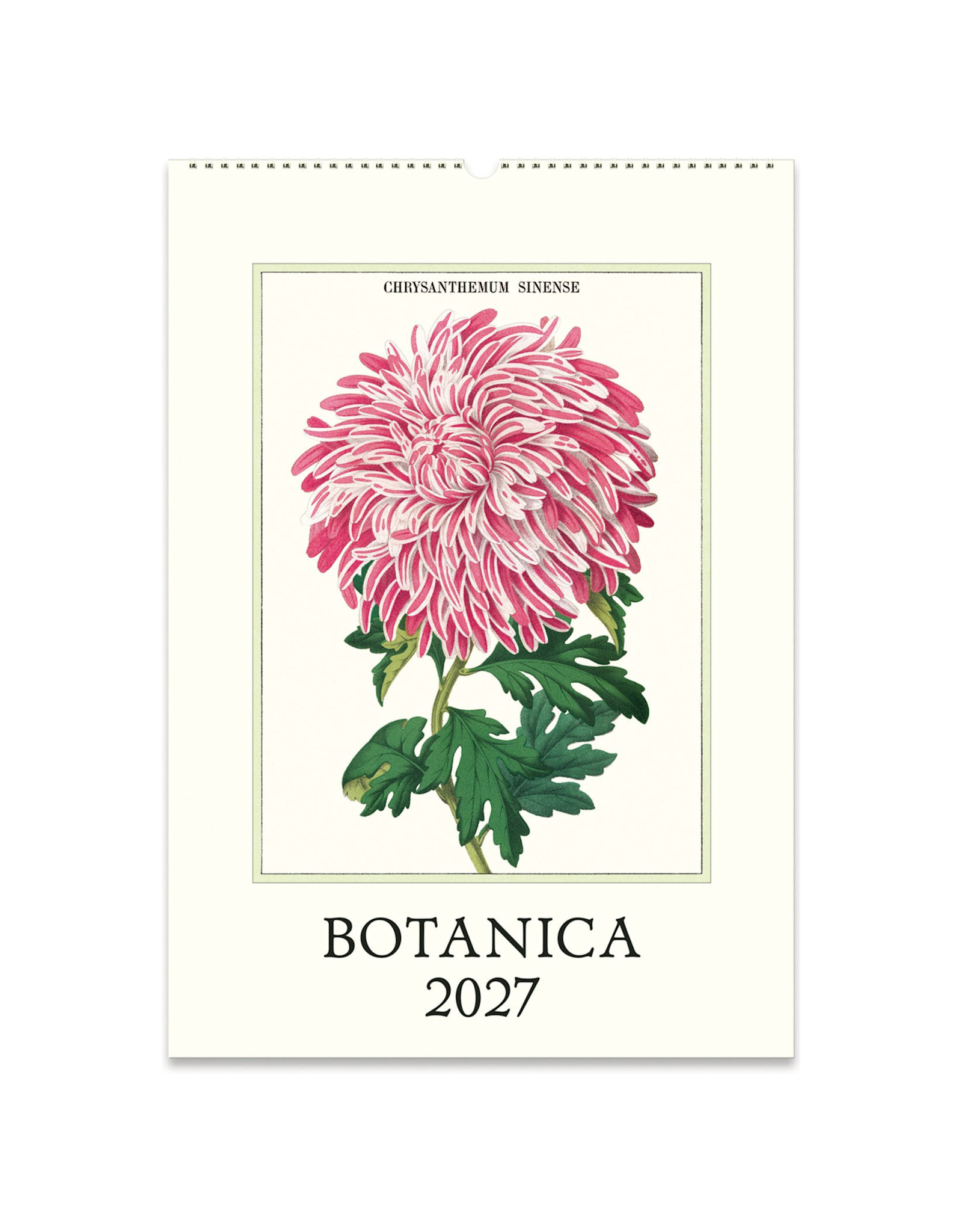 2027 Wall Calendar : Botanica