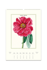 2027 Wall Calendar : Botanica