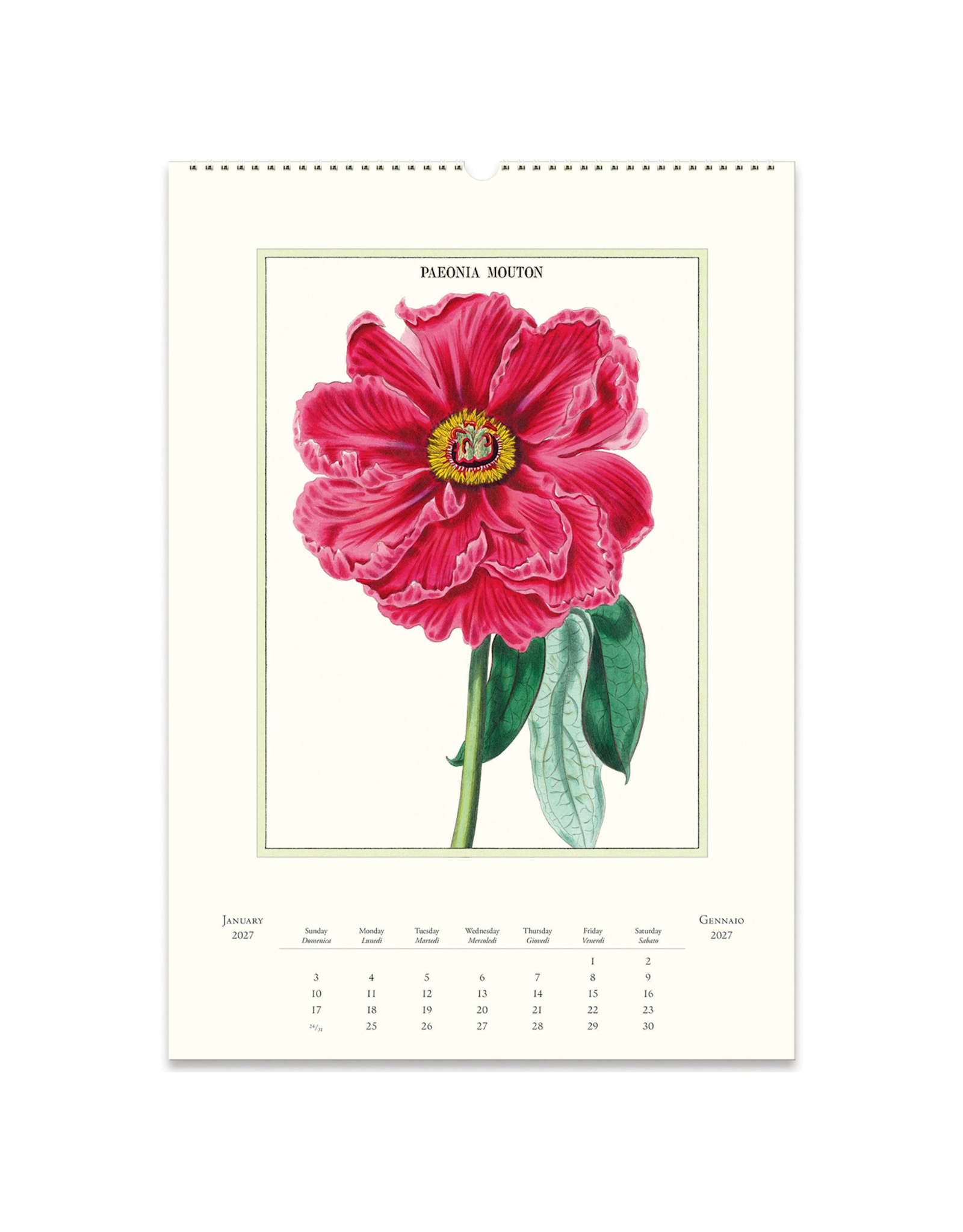 2027 Wall Calendar : Botanica