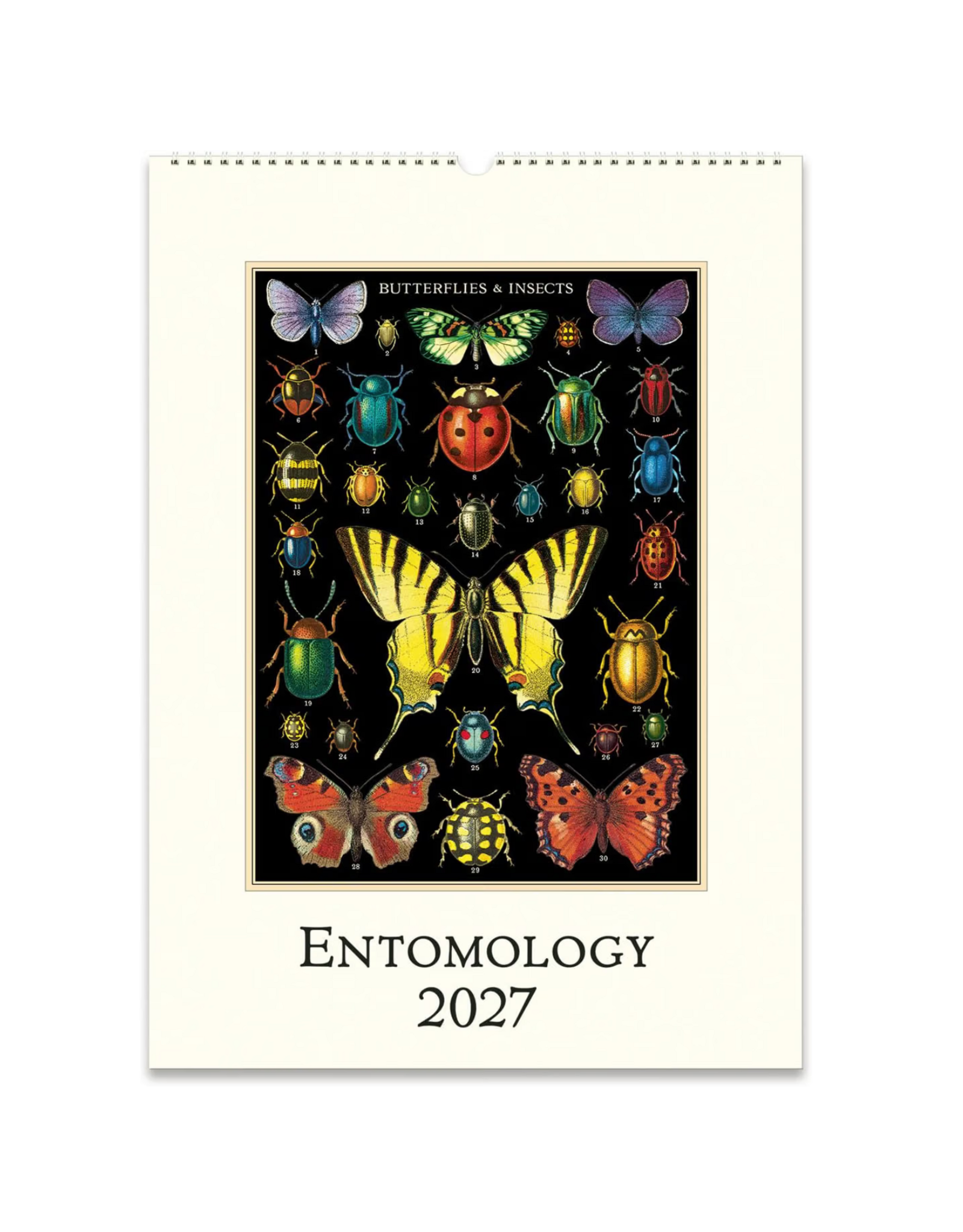 2027 Wall Calendar : Entomology