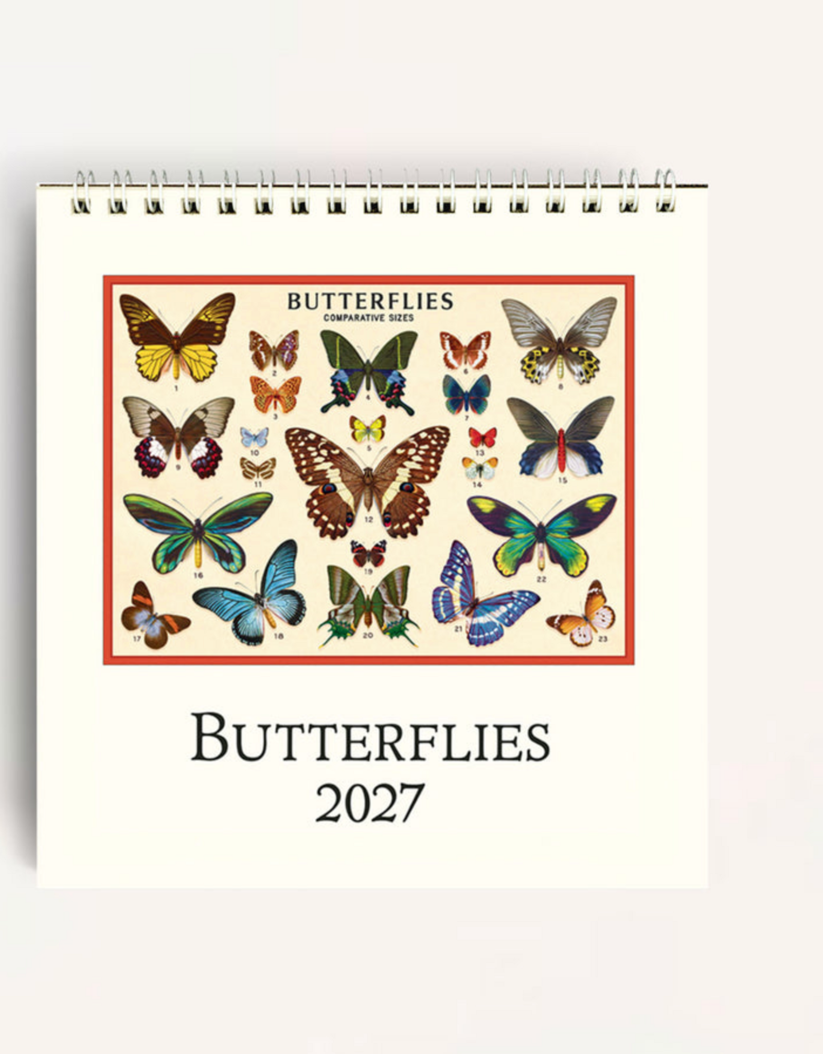 2027 Desk Calendar: Butterflies