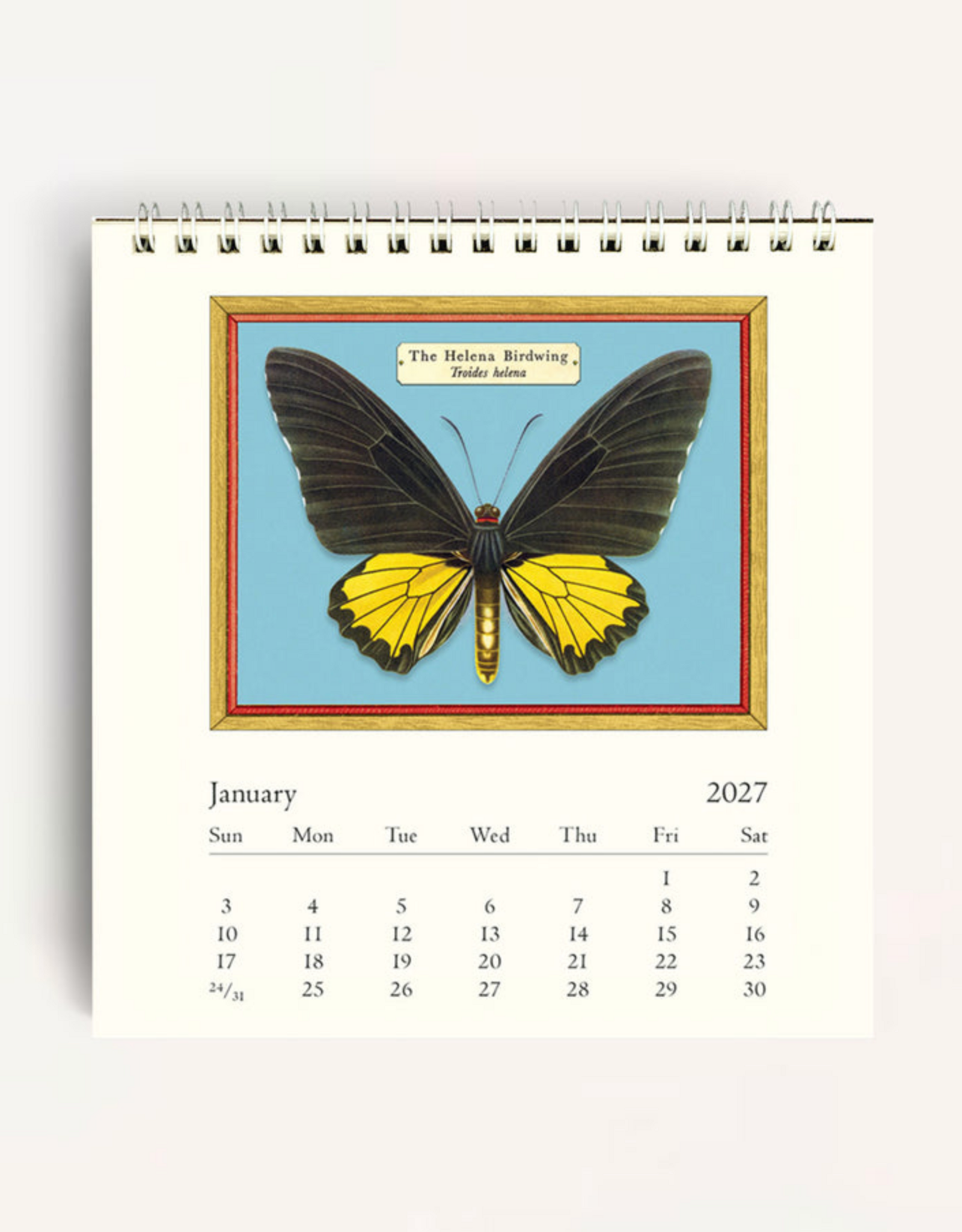 2027 Desk Calendar: Butterflies