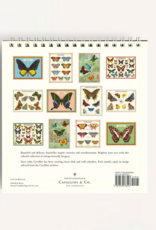 2027 Desk Calendar: Butterflies