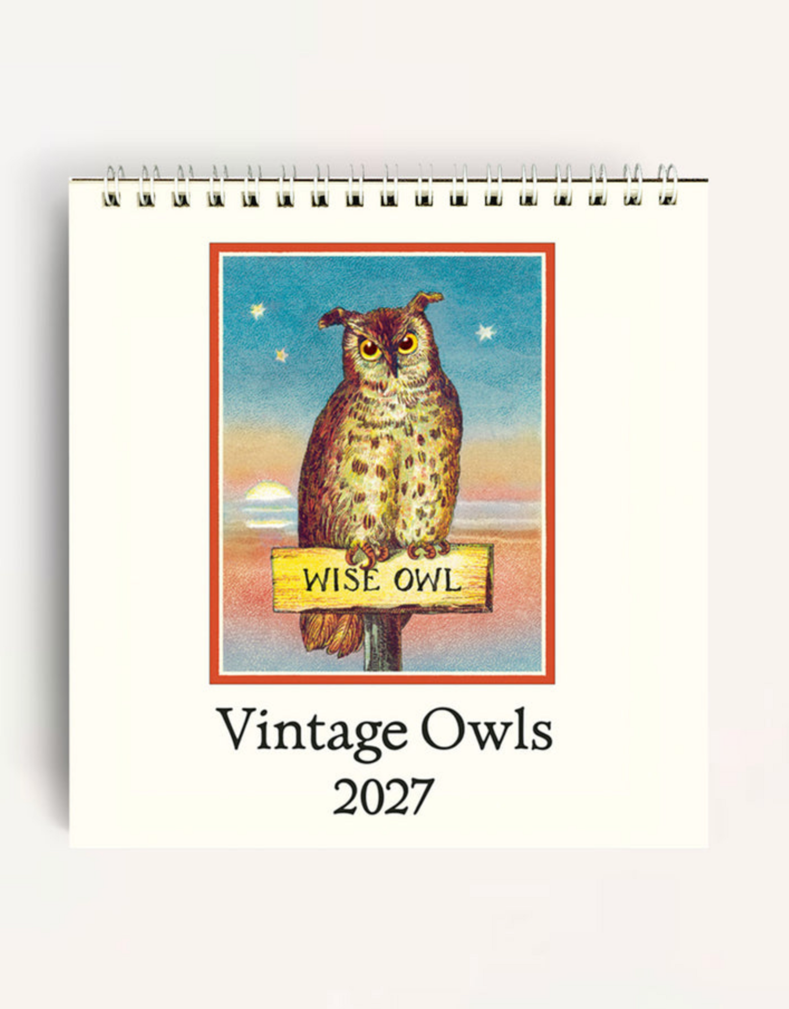 2027 Desk Calendar: Owls