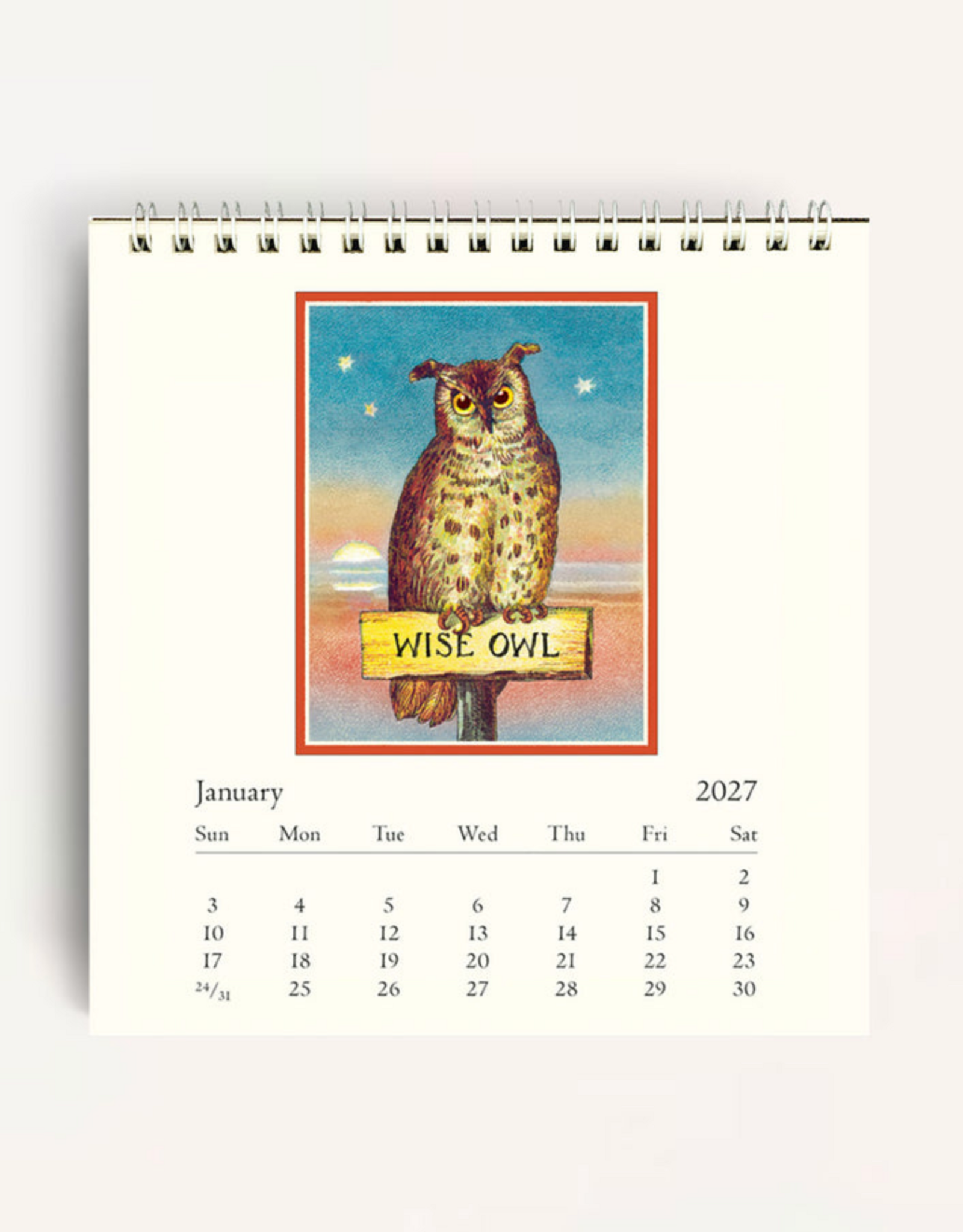 2027 Desk Calendar: Owls