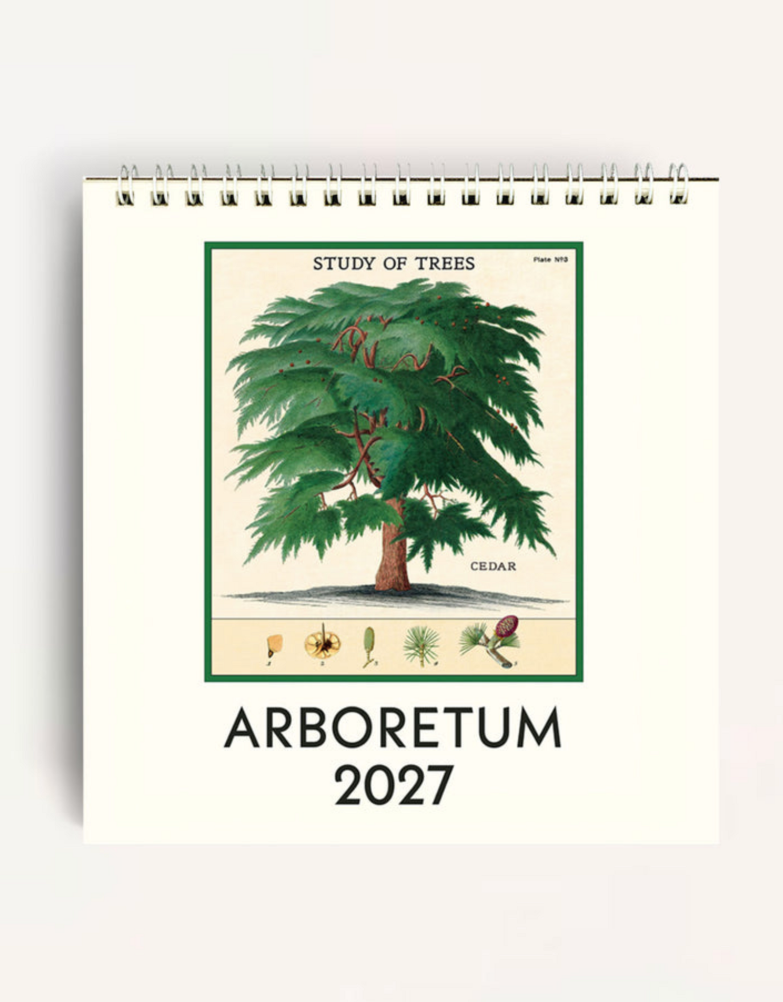 2027 Desk Calendar: Arboretum