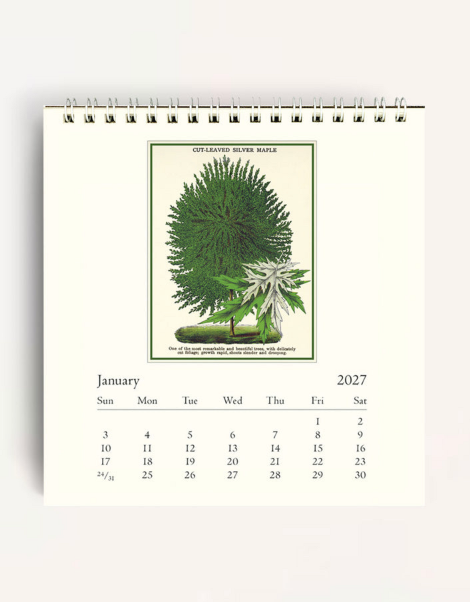 2027 Desk Calendar: Arboretum