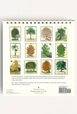 2027 Desk Calendar: Arboretum