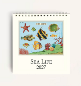 2027 Desk Calendar: Sea Life