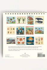 2027 Desk Calendar: Sea Life