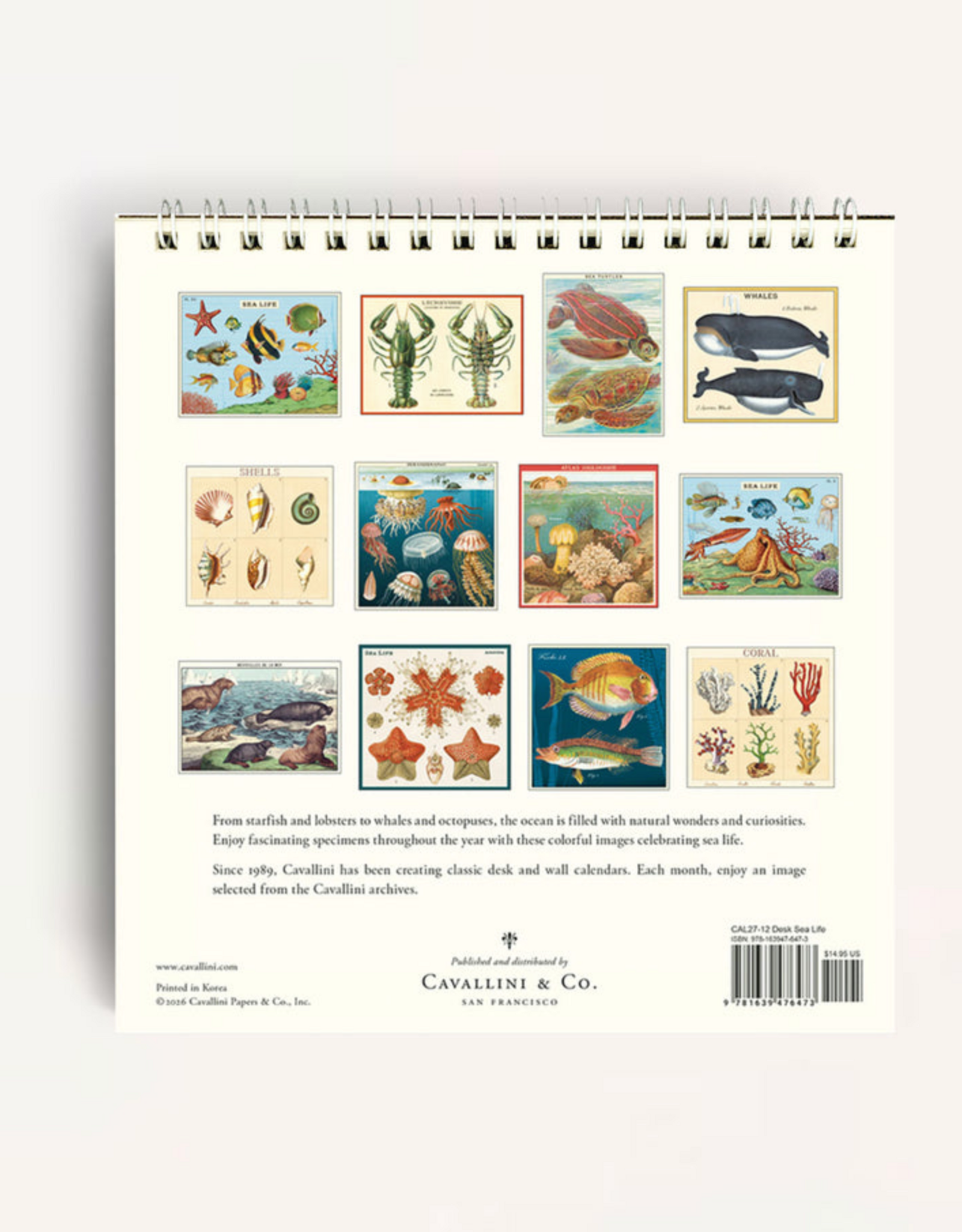 2027 Desk Calendar: Sea Life