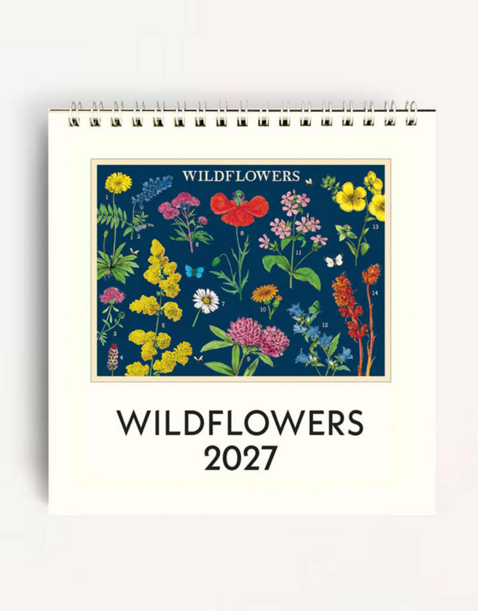 2027 Desk Calendar: Wildflowers