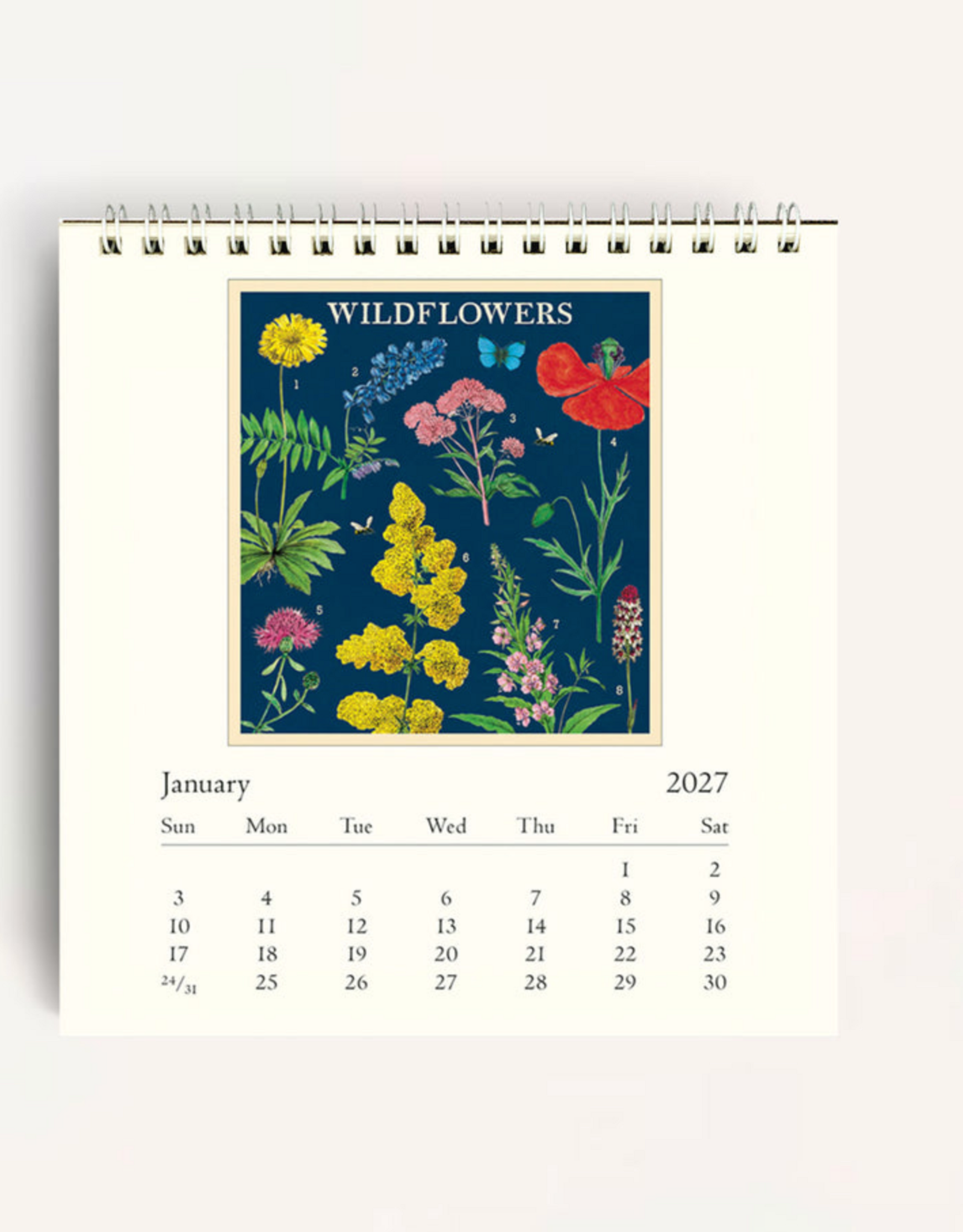 2027 Desk Calendar: Wildflowers