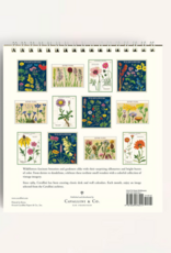 2027 Desk Calendar: Wildflowers