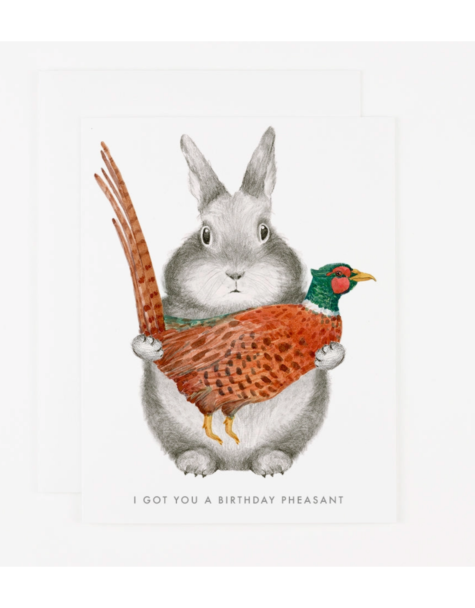 I Got You a Birthday Pheasant Greeting Card