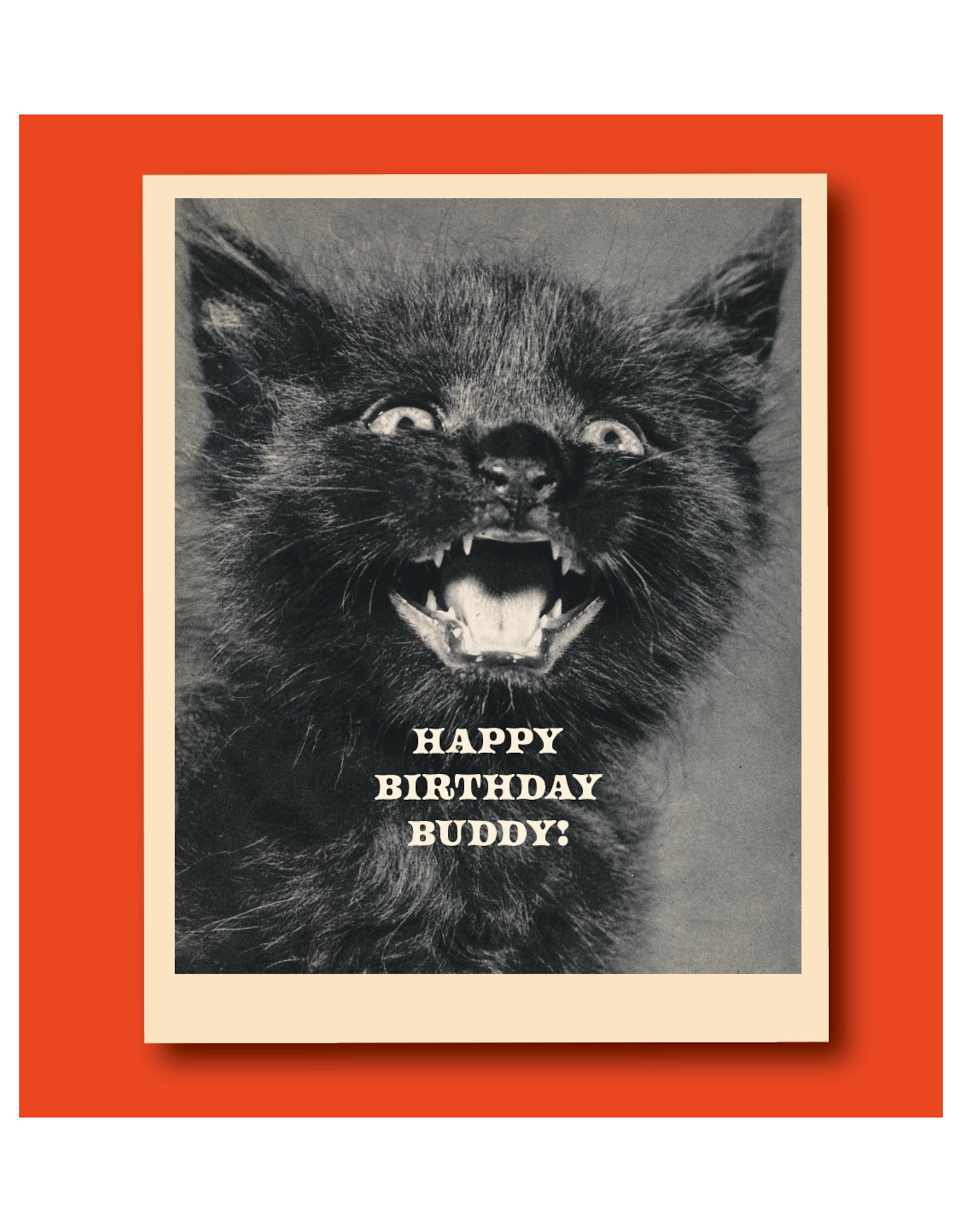 Happy Birthday Buddy Screaming Cat Greeting Card