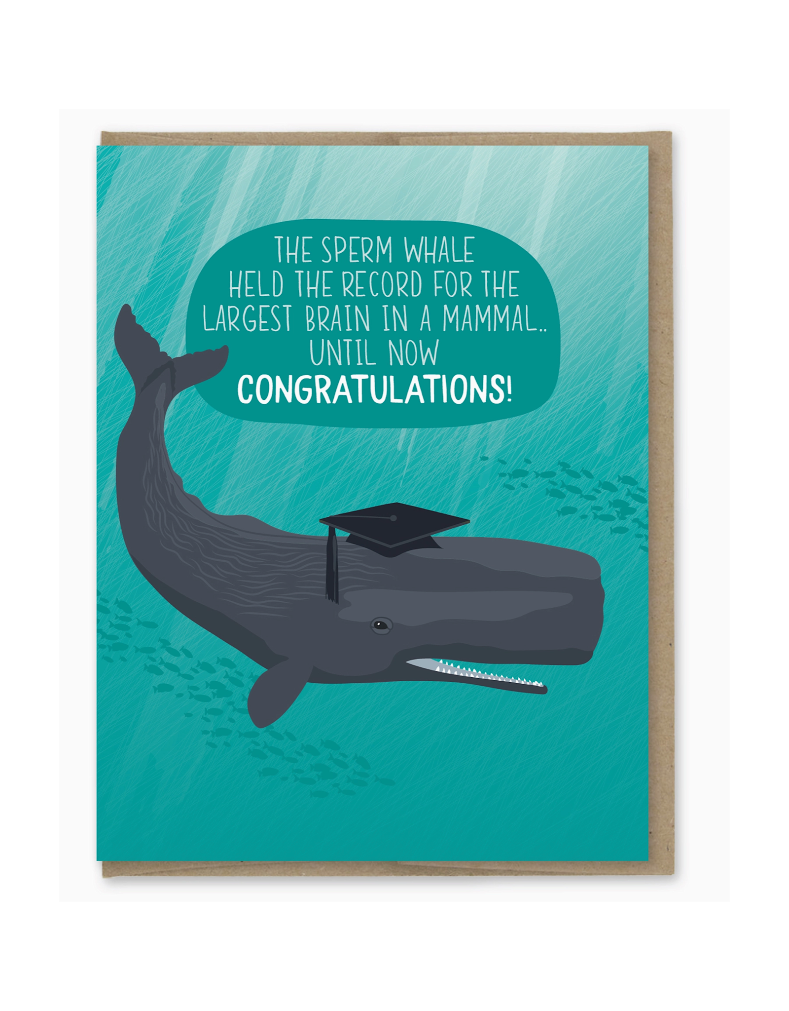 Big Brain Whale Graduation Greeting Card