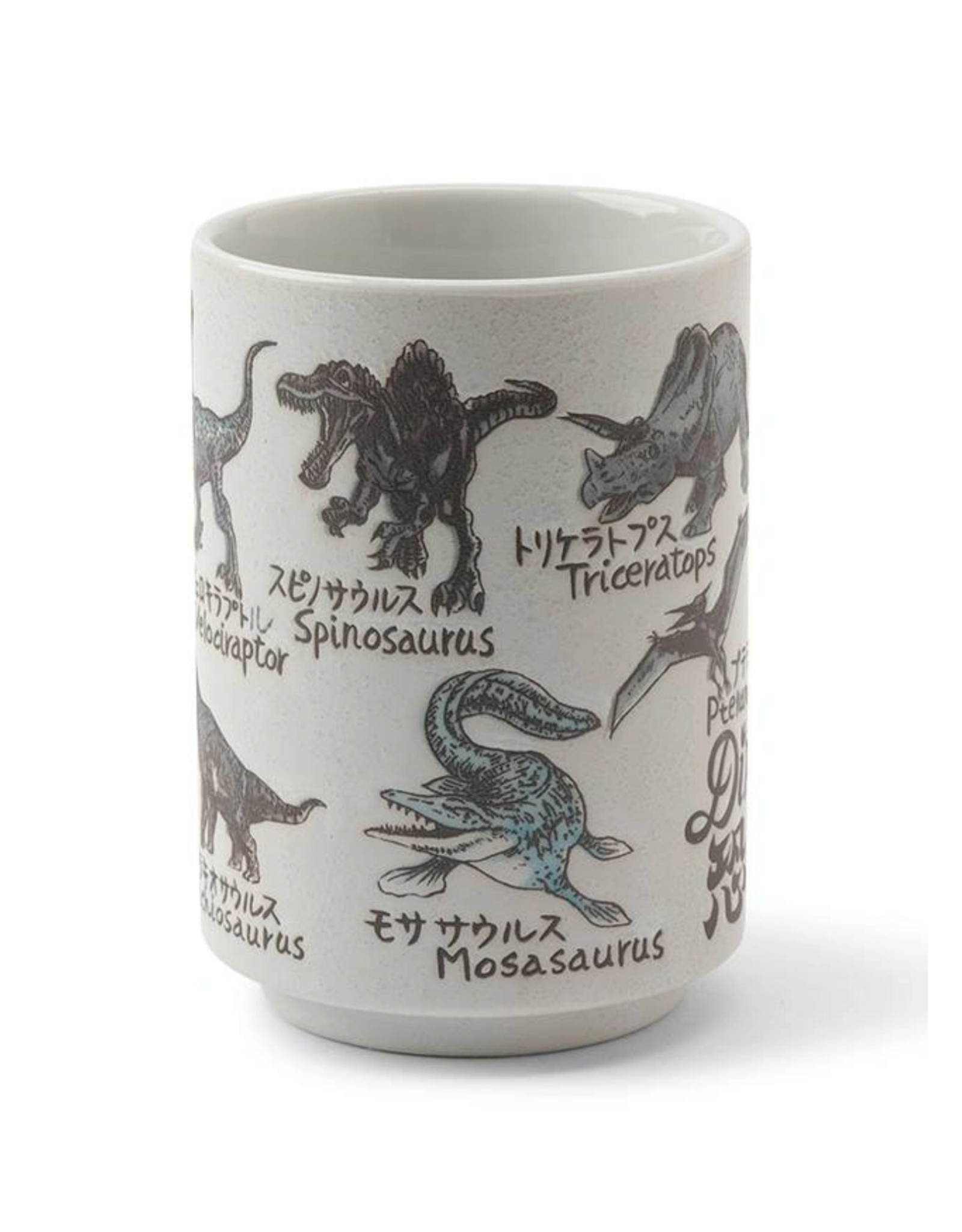 Dinosaur Sushi Cup