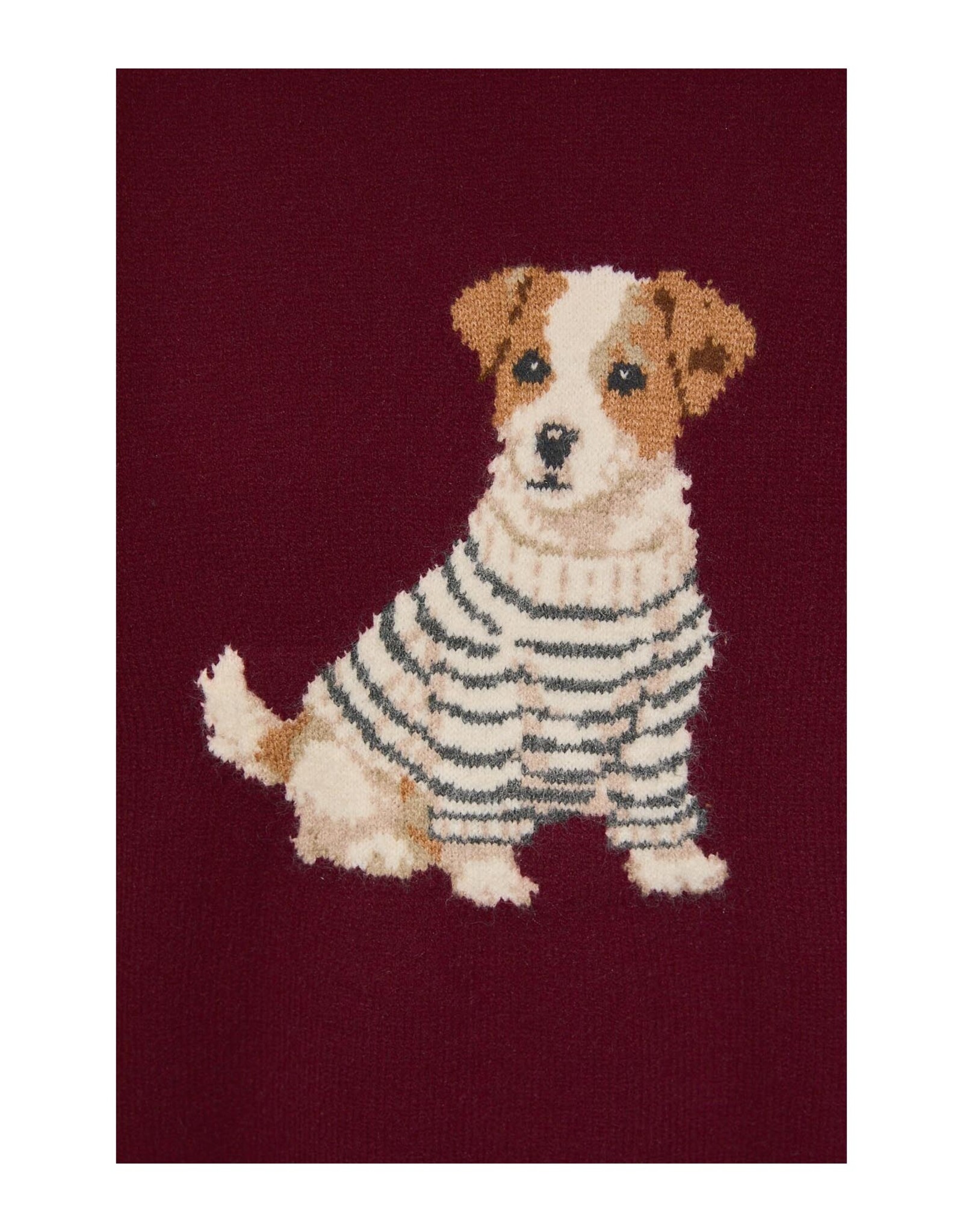 Le Lis Jack Russell Terrier Sweater