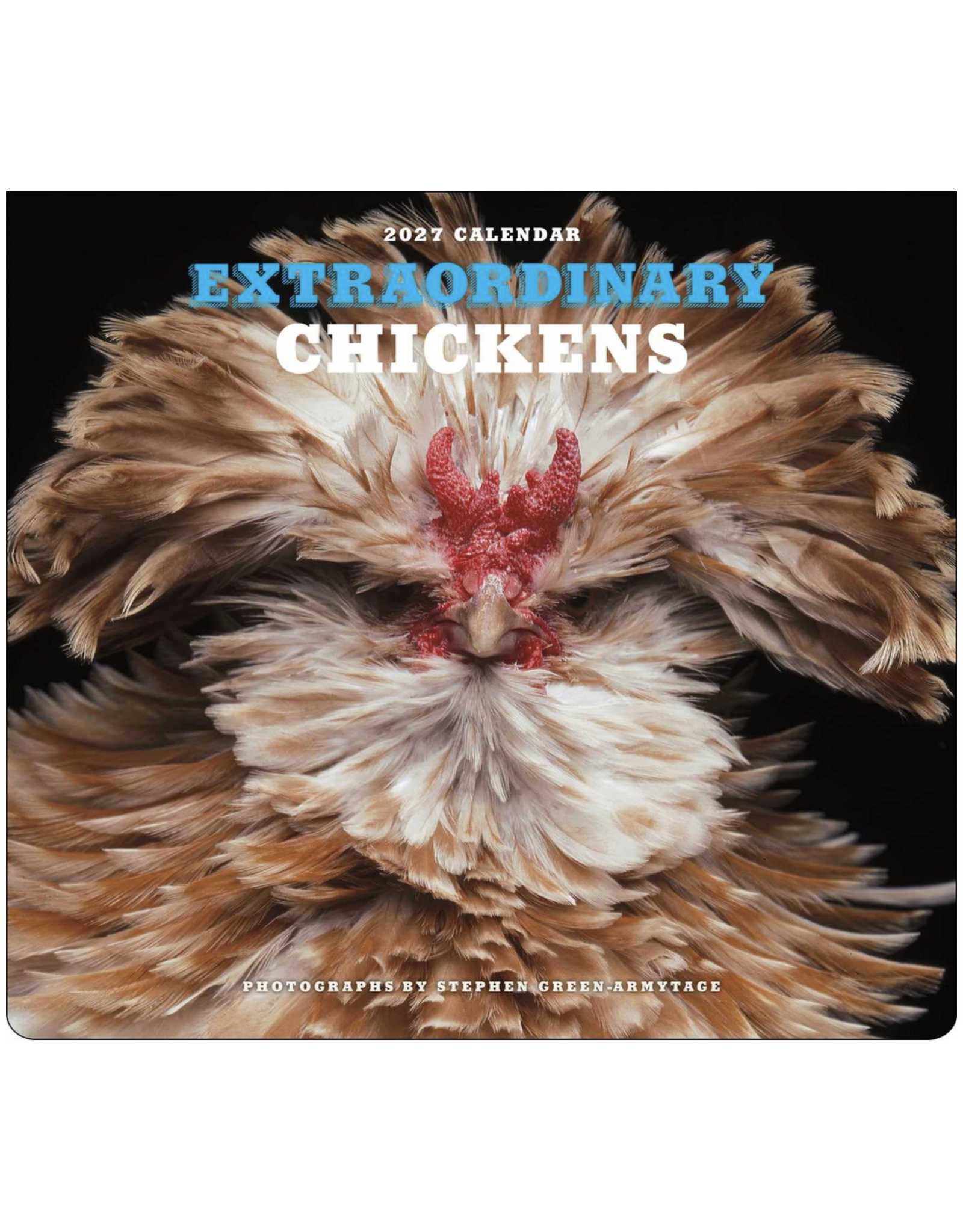 Extraordinary Chickens Wall Calendar 2027
