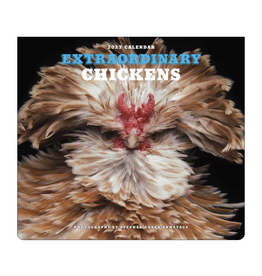 Extraordinary Chickens Wall Calendar 2027