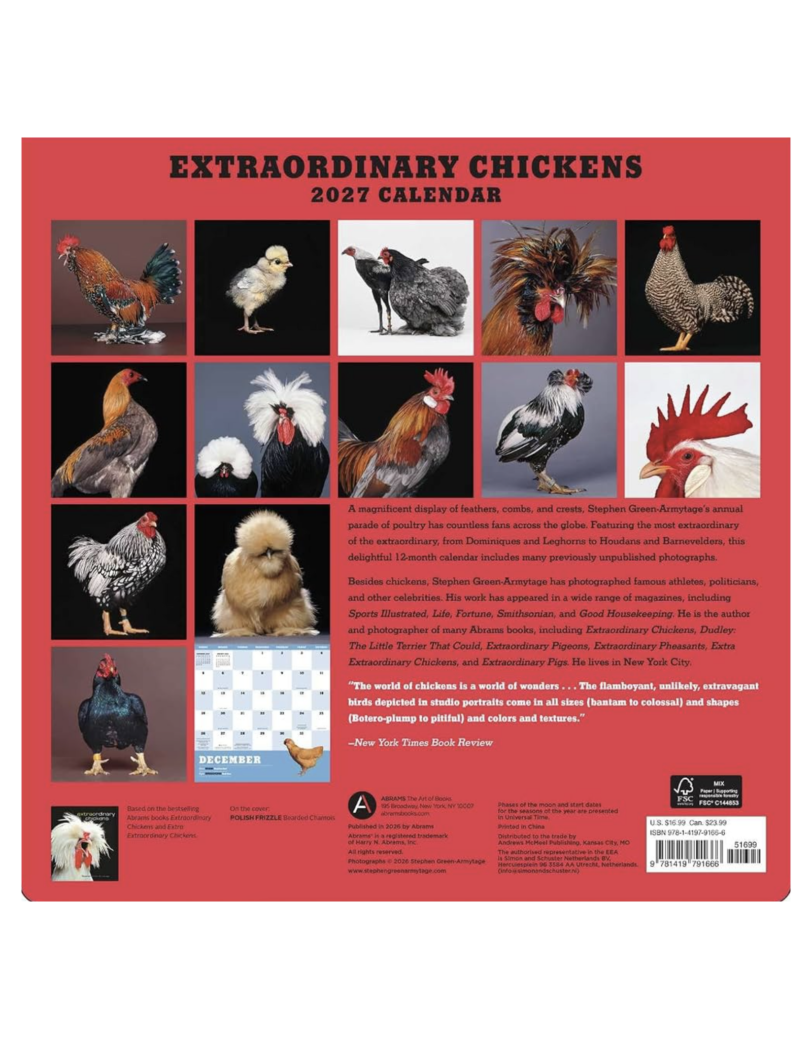 Extraordinary Chickens Wall Calendar 2027
