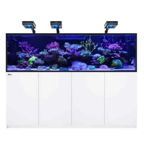 RedSea Redsea  	REEFER-S Deluxe 1000 - White (incl. 3 X RL 160 & Mount)