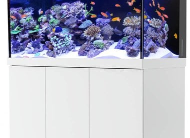 aquariums tropical and marine