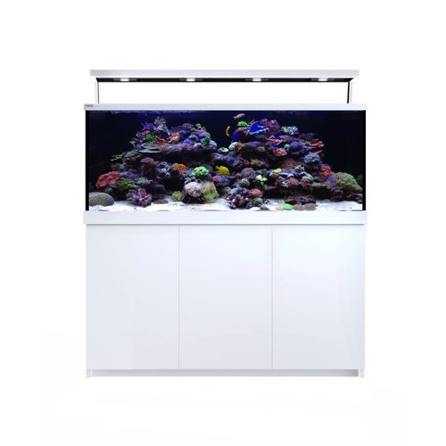 Full Size Aquariums