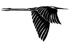 Birdseye Rule