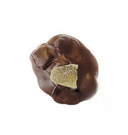 Ginger Bites Dark Chocolate - 50g
