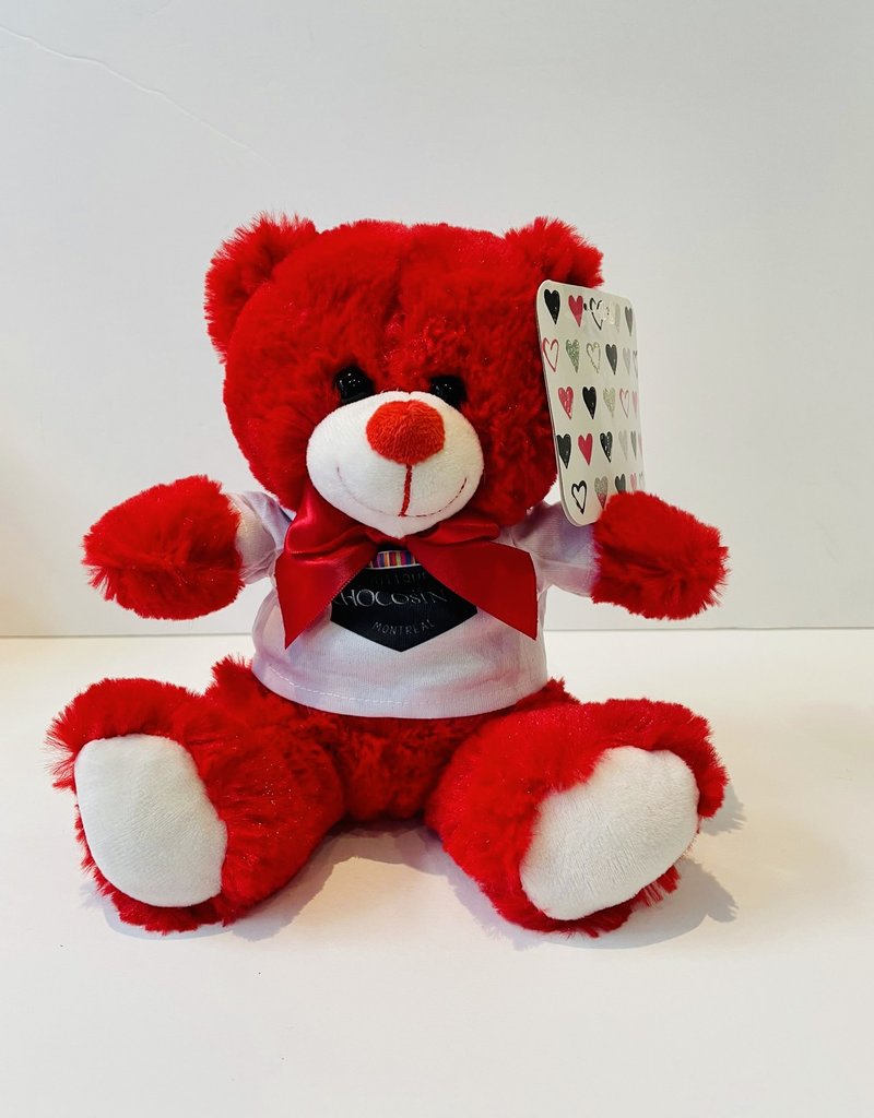 Plush Friendly Valentine Bear 8''