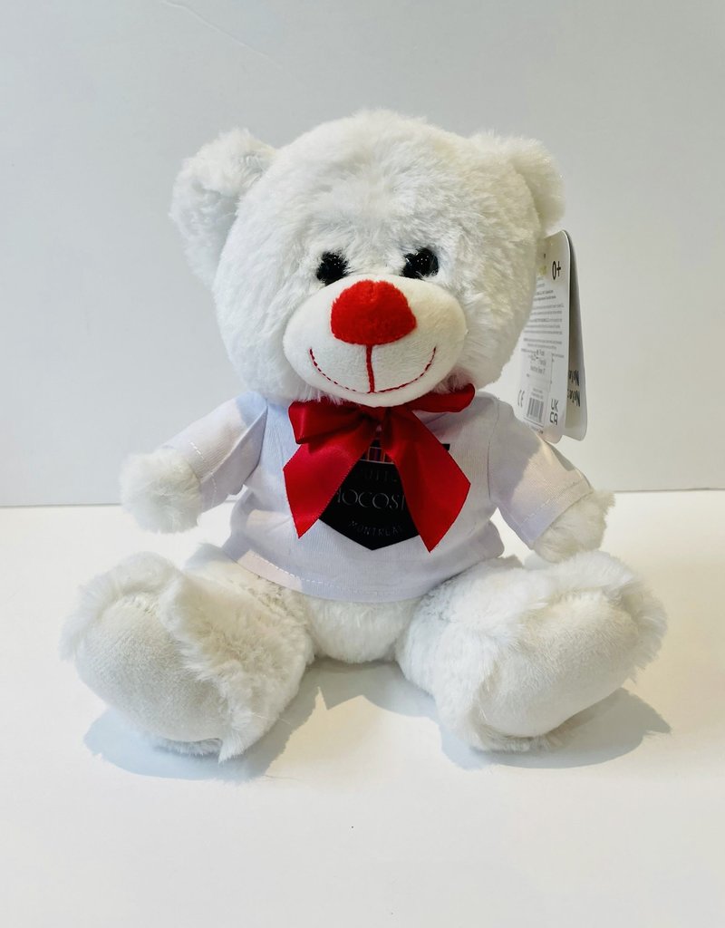 Peluche Ourson St-Valentin 8