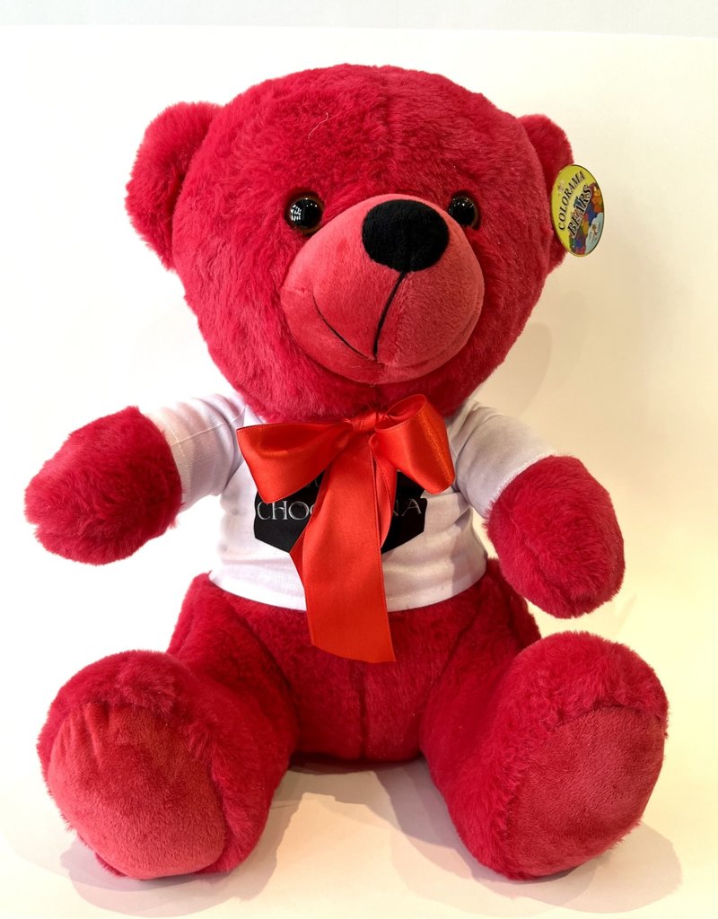 Peluche Ourson Colorama XL 14’’